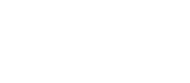 logo-ray-white